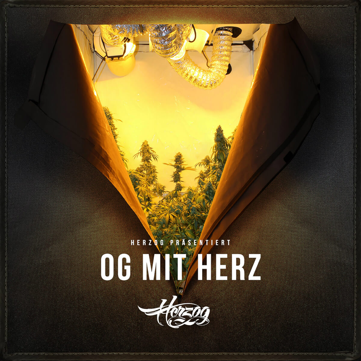 hzg001 OG mit Herz (inkl. 3D-Covercard)
