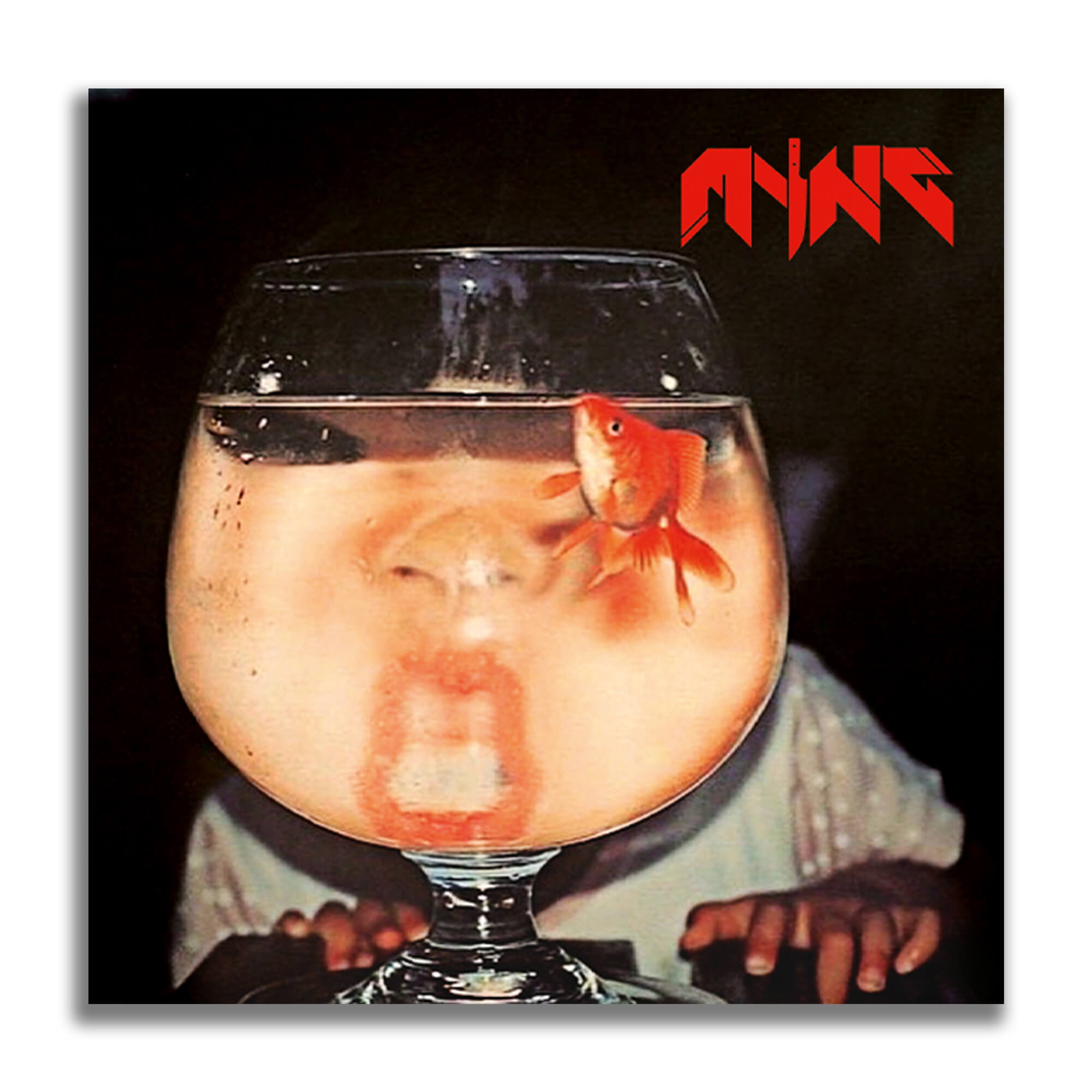 myng_goldfisch_aufkleber